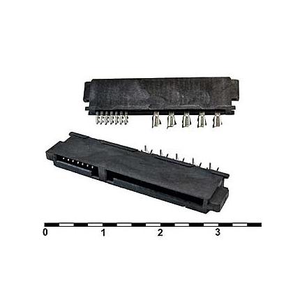 9923