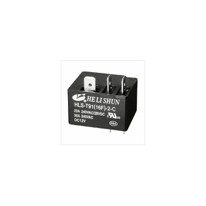 HLS-T91(16F)-2-12VDC 30A