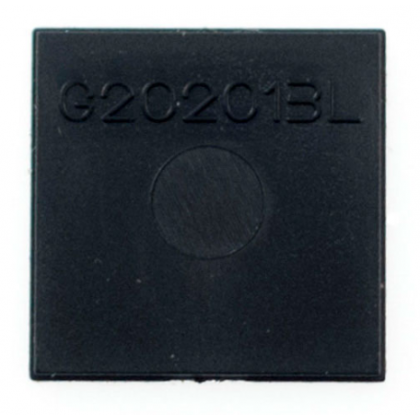 g202013l