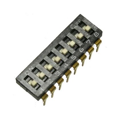 ds2-08